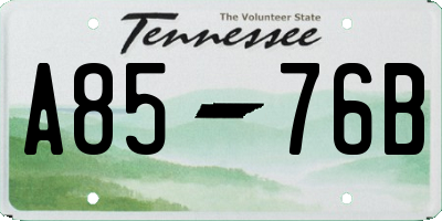 TN license plate A8576B