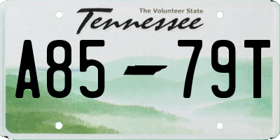 TN license plate A8579T