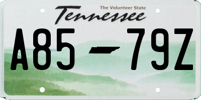 TN license plate A8579Z