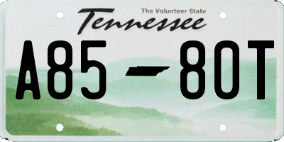 TN license plate A8580T