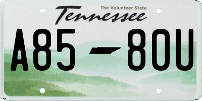 TN license plate A8580U