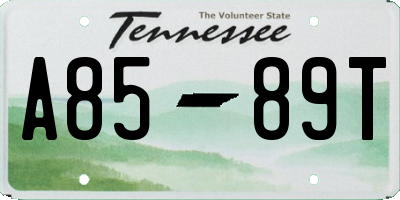 TN license plate A8589T