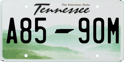 TN license plate A8590M