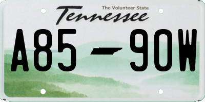 TN license plate A8590W