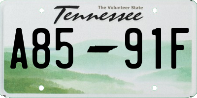 TN license plate A8591F
