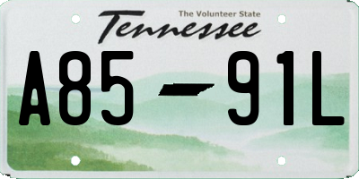 TN license plate A8591L