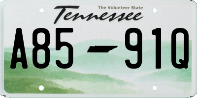 TN license plate A8591Q