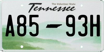 TN license plate A8593H