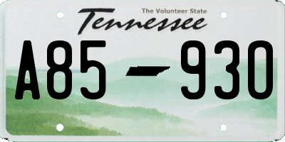 TN license plate A8593O