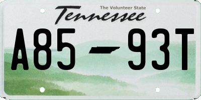 TN license plate A8593T