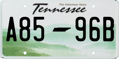 TN license plate A8596B