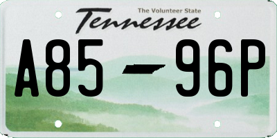 TN license plate A8596P