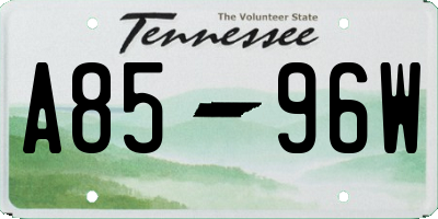TN license plate A8596W
