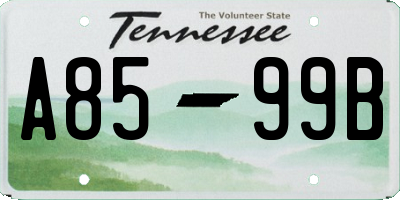 TN license plate A8599B