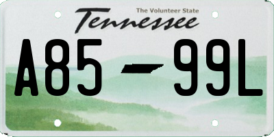 TN license plate A8599L