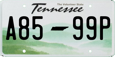TN license plate A8599P
