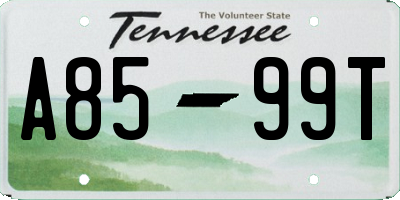 TN license plate A8599T