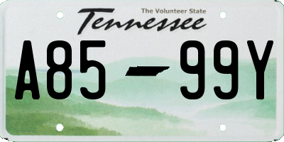 TN license plate A8599Y