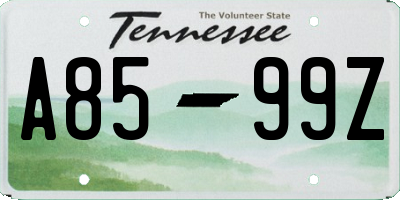 TN license plate A8599Z