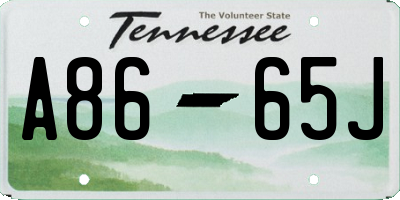 TN license plate A8665J