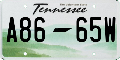 TN license plate A8665W