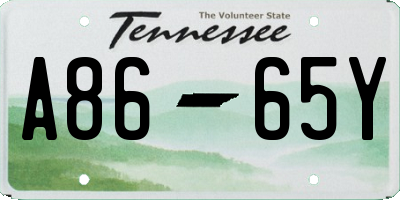 TN license plate A8665Y