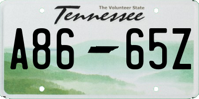 TN license plate A8665Z
