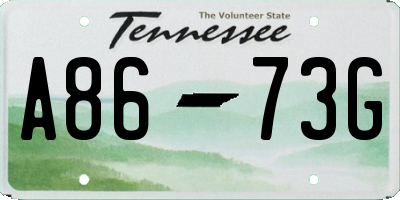 TN license plate A8673G