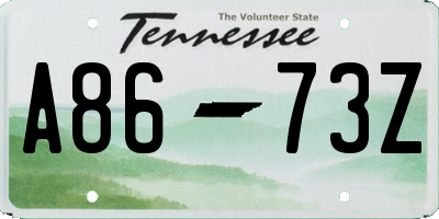 TN license plate A8673Z