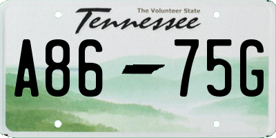 TN license plate A8675G