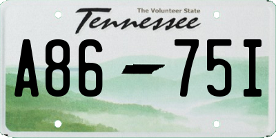 TN license plate A8675I
