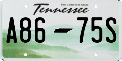 TN license plate A8675S
