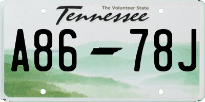 TN license plate A8678J