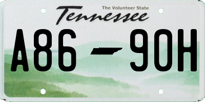 TN license plate A8690H