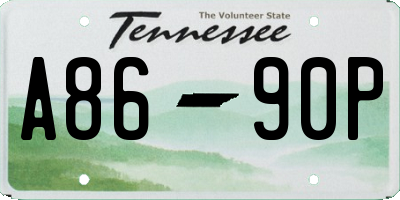 TN license plate A8690P