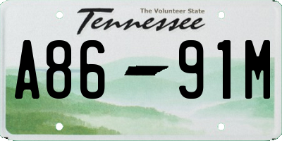 TN license plate A8691M