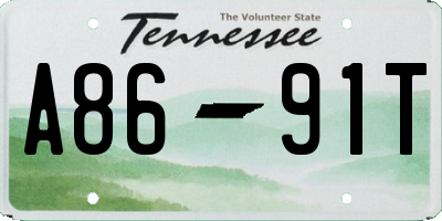 TN license plate A8691T