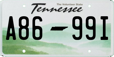 TN license plate A8699I