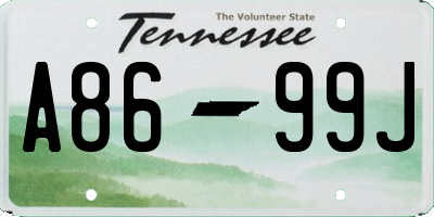 TN license plate A8699J
