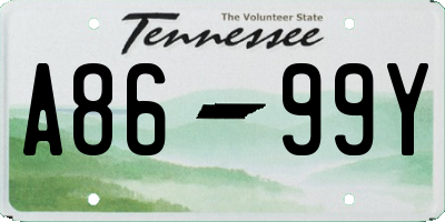 TN license plate A8699Y