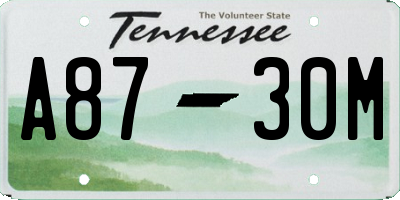 TN license plate A8730M