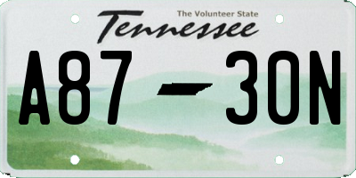 TN license plate A8730N