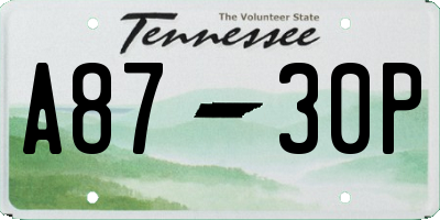 TN license plate A8730P