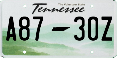 TN license plate A8730Z