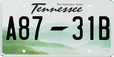 TN license plate A8731B