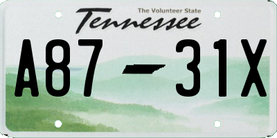 TN license plate A8731X