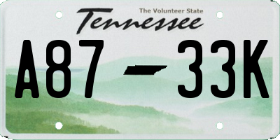TN license plate A8733K