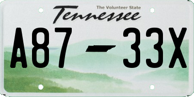 TN license plate A8733X