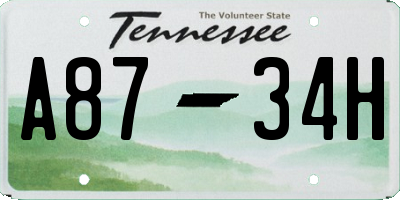 TN license plate A8734H