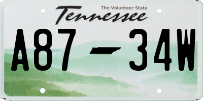 TN license plate A8734W